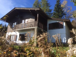 Vakantiewoning Karinthië, Deutsch Griffen, Österreich